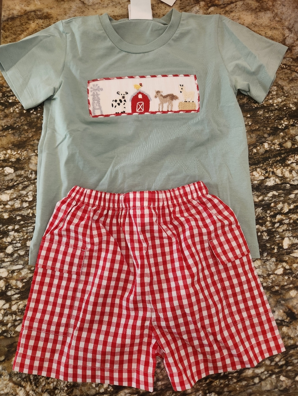 Children's Light Blue Farm Appliqué Set with Red Gingham Shorts